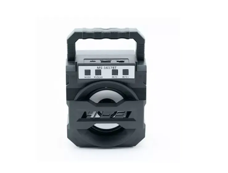 Parlante Bluetooth Radio Usb /luz/ Led/ Mp3