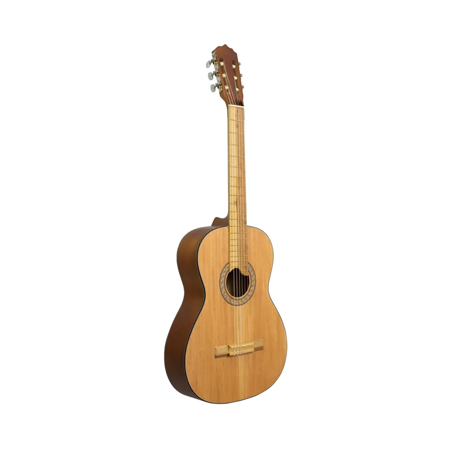 Guitarra Clásica De La Casa