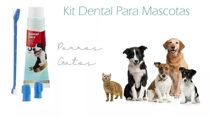 Kit Dental Para Mascotas Sabor Carne 