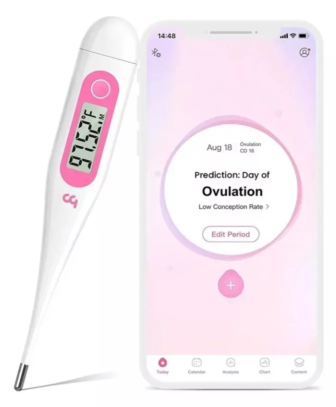 Termometro Coporal Basal Digital Femometer 