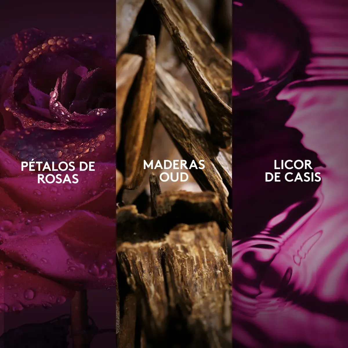 Perfume Vibranza Addiction 