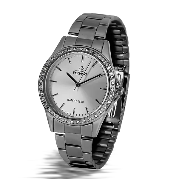 Reloj Pegaso Dama P6539S-072201A Pulso Acero Plateado