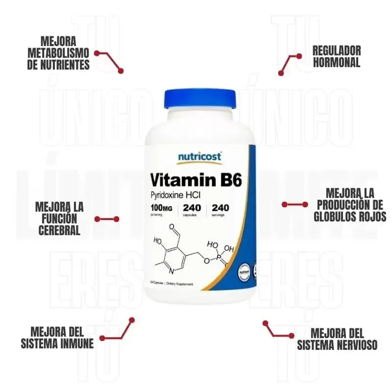  Vitamina B6 240 Capsulas Nutricost