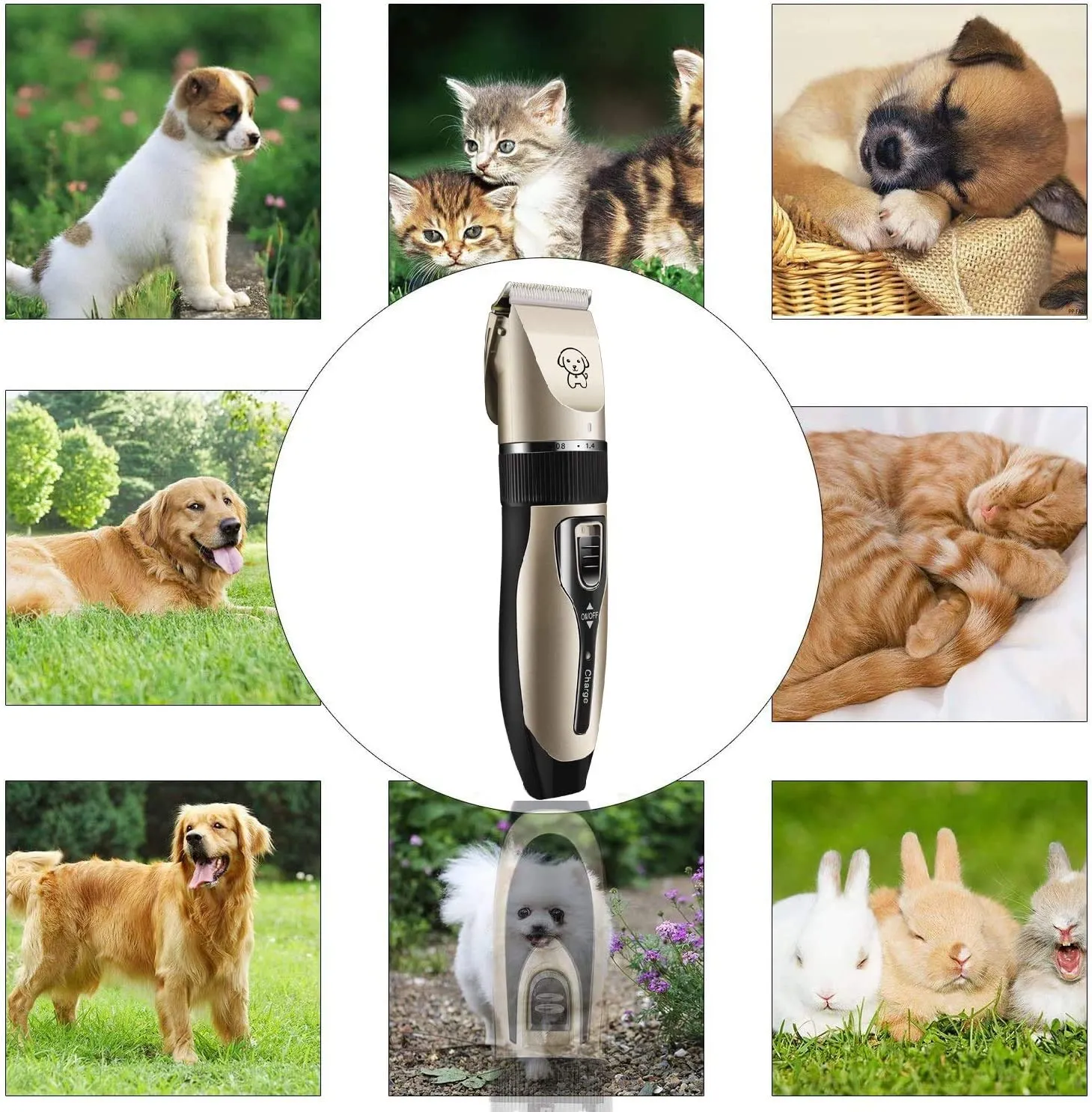 Máquina Peluquera Canina Inalámbrica Mascotas Perros Gatos Kit Completo