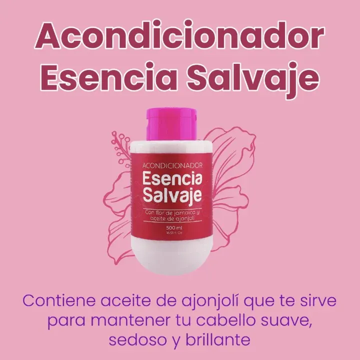 Acondicionador Con Flor De Jamaica Fruto Salvaje