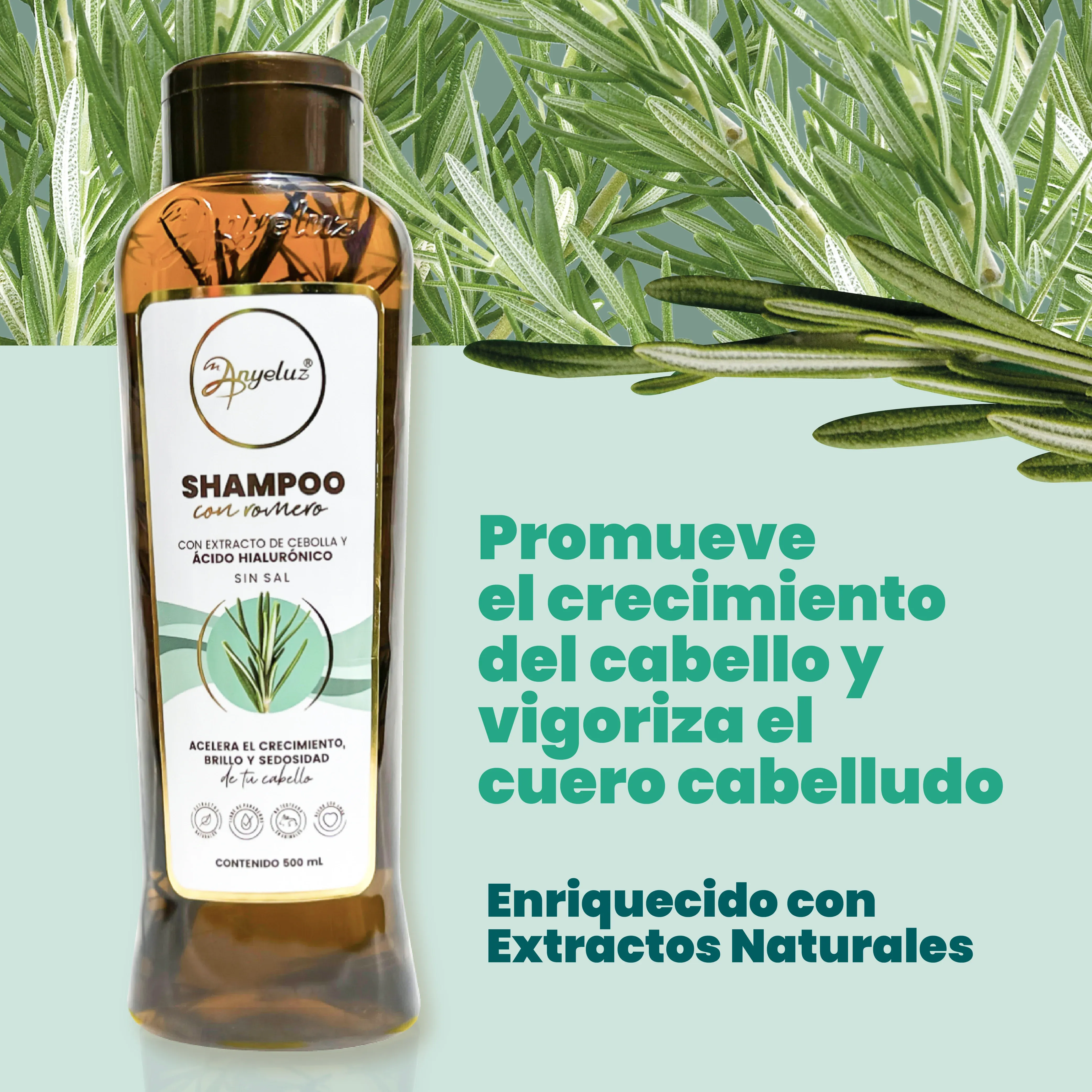 Shampoo Con Romero Anyeluz X500 Ml