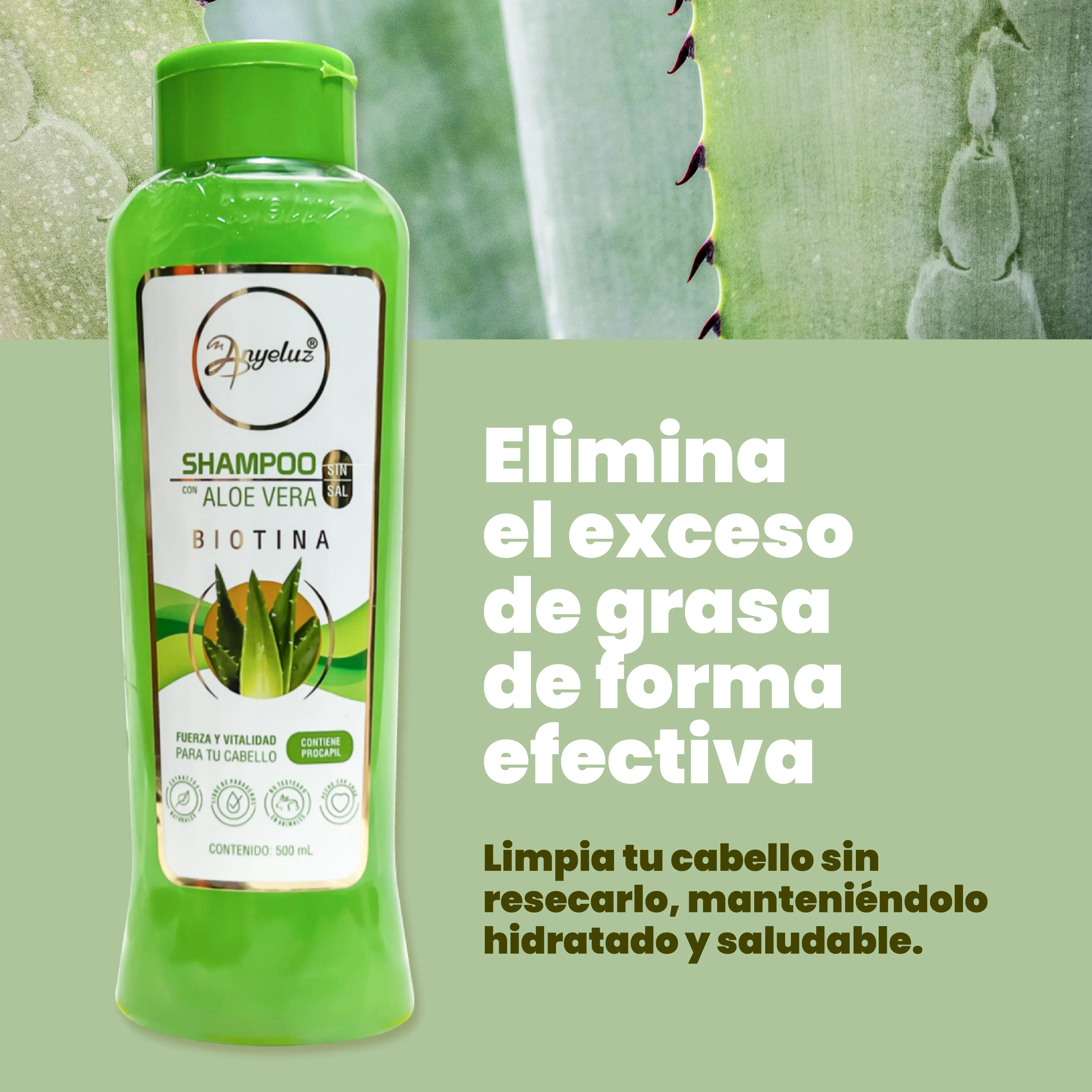 Shampoo Aloe Vera Anyeluz X500 Ml