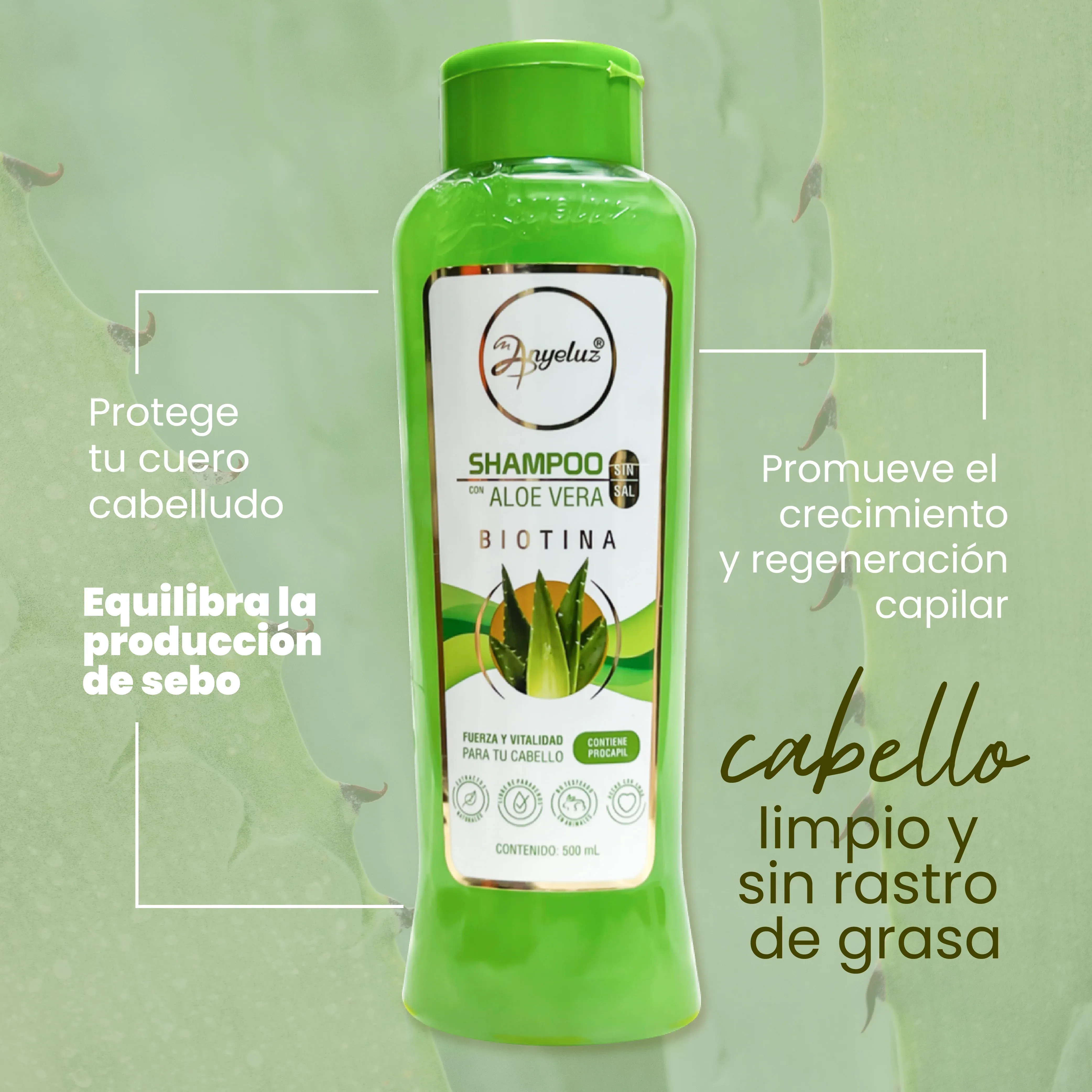 Shampoo Aloe Vera Anyeluz X500 Ml