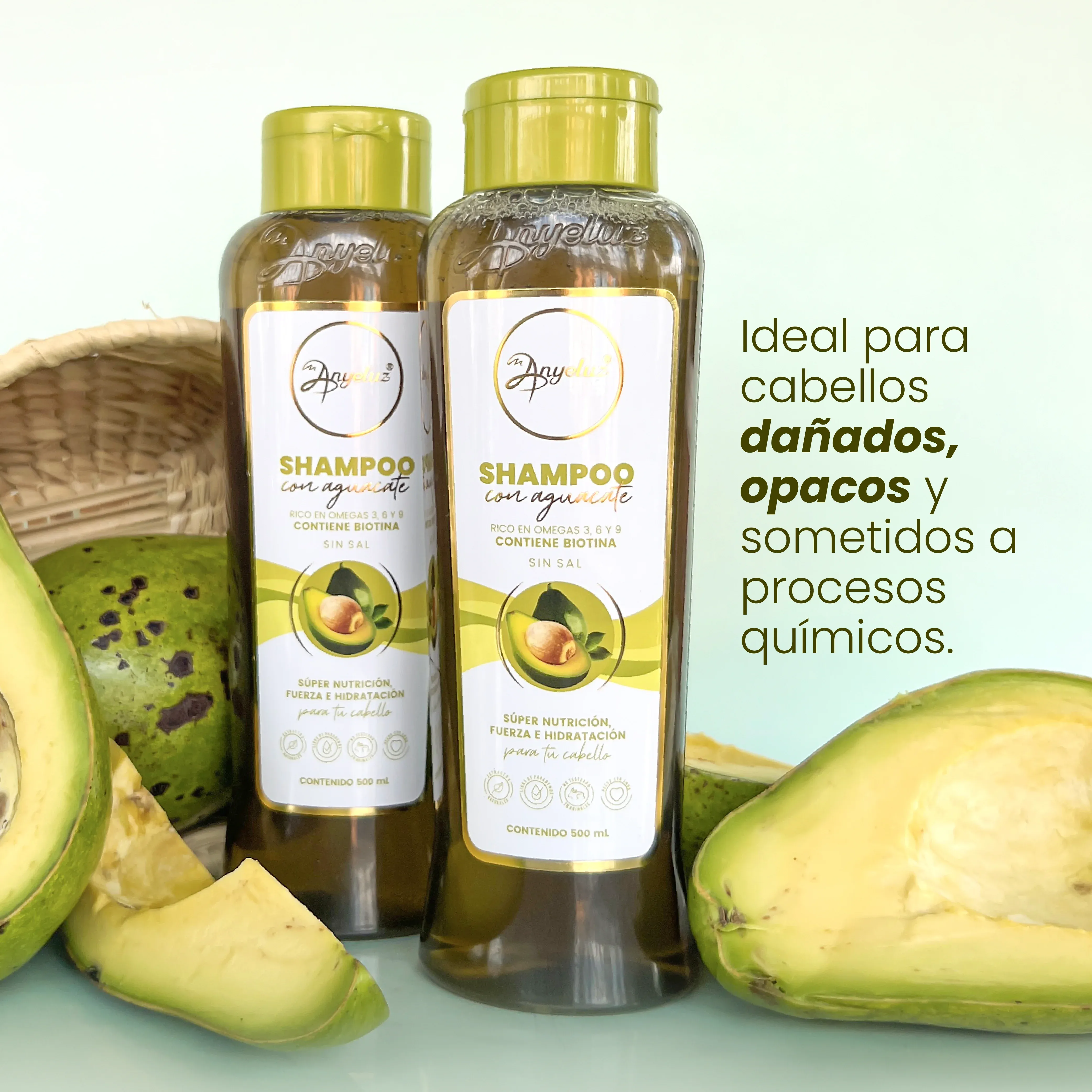 Shampoo Con Aguacate Anyeluz X500 Ml