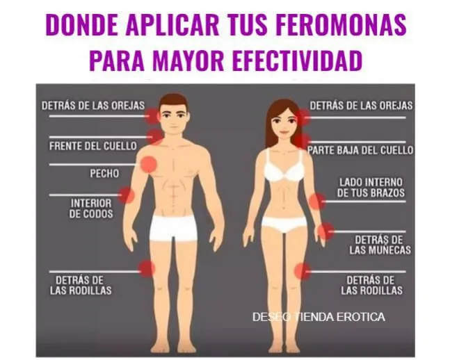 Feromonas  Femeninas Concentradas en Aceite