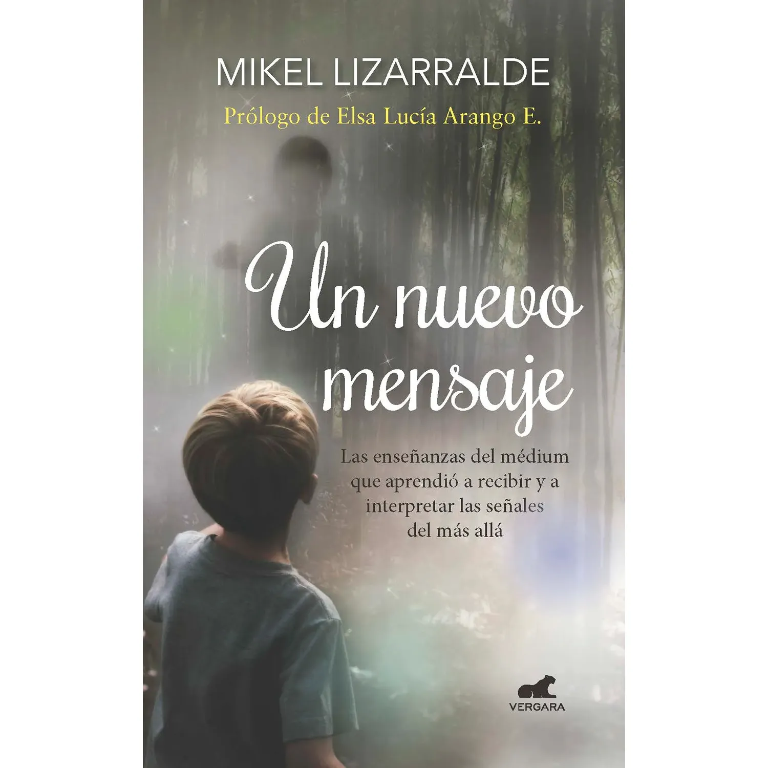 Un Nuevo Mensaje / Mikel Lizarralde