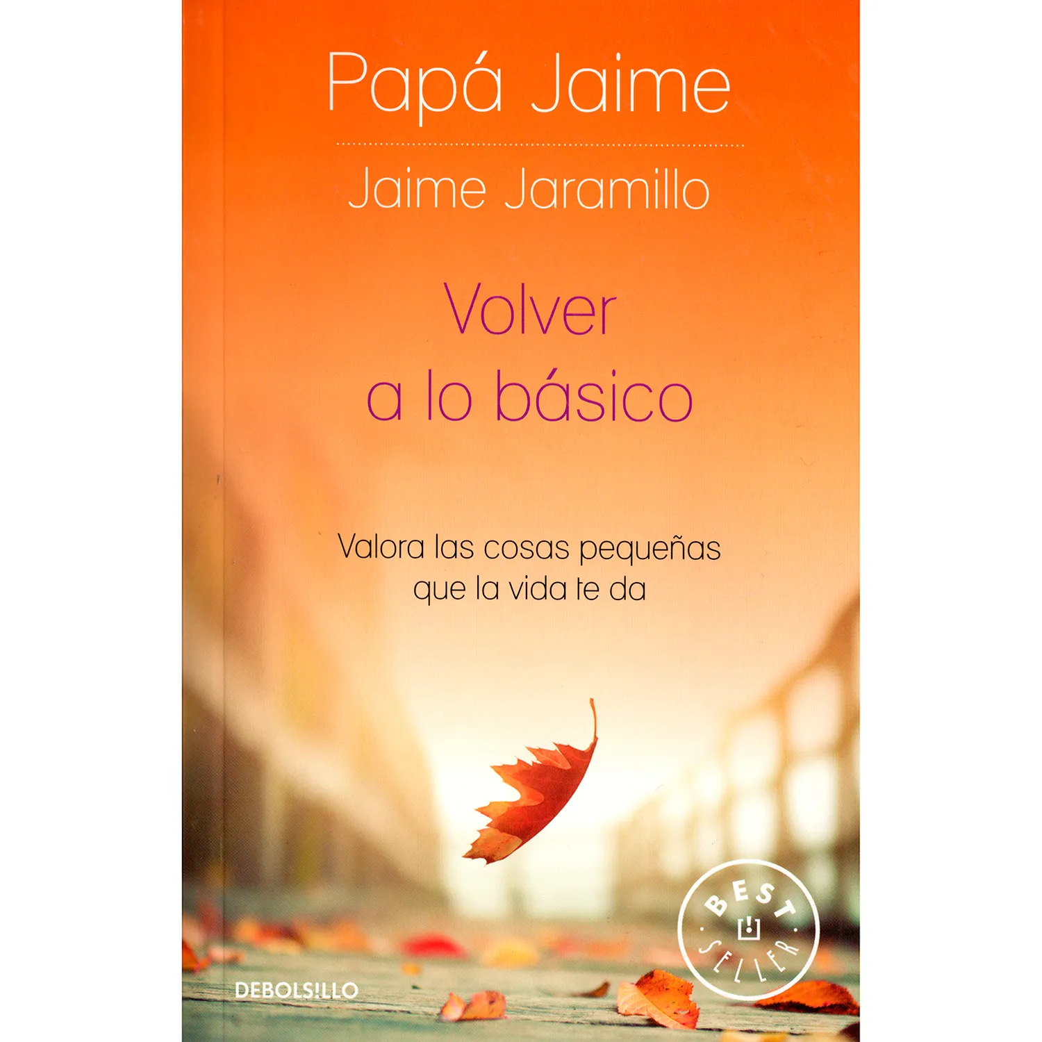 Volver A Lo Básico. Papá Jaime