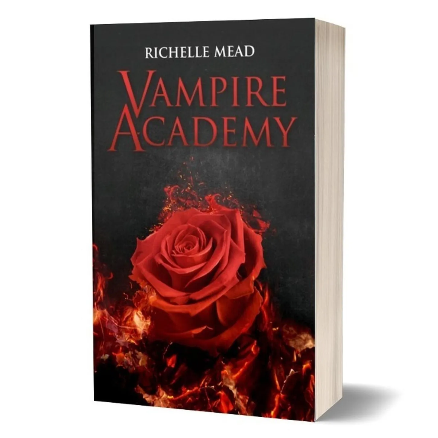 Vampire Academy / Richelle Mead