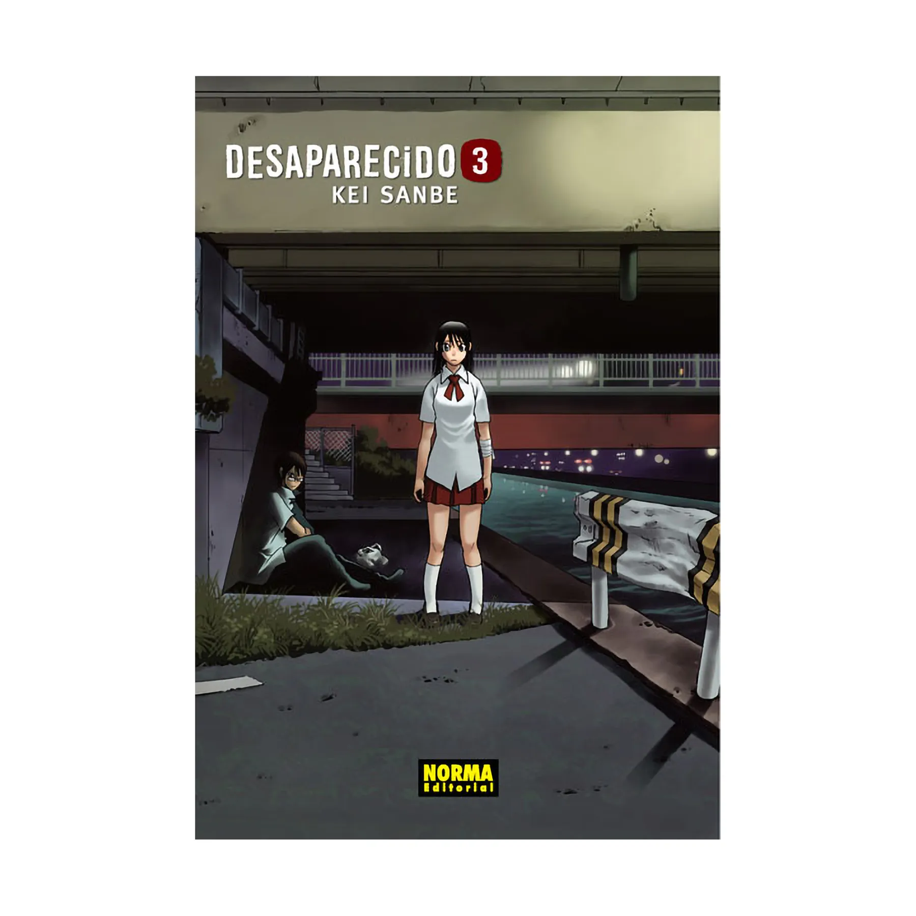 Desaparecido No. 3