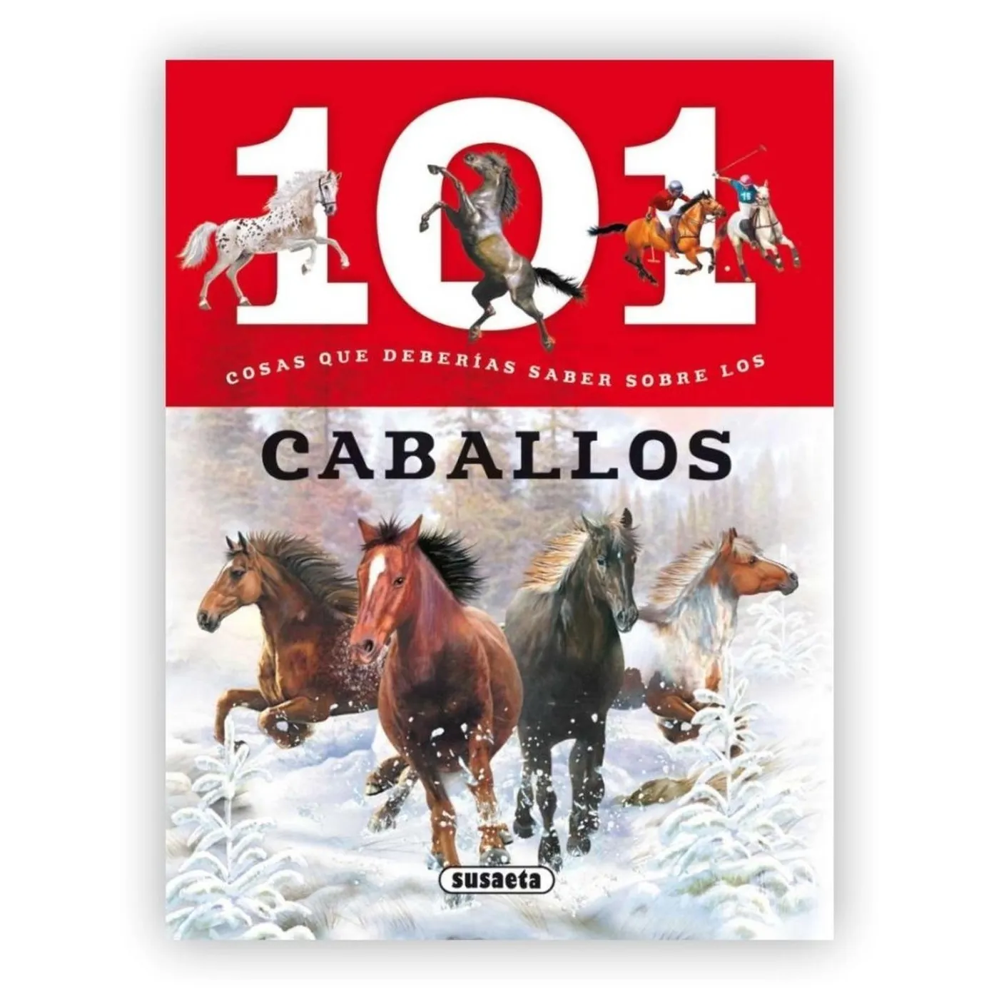 101 Cosas Que Deberías Saber Sobre Los Caballos