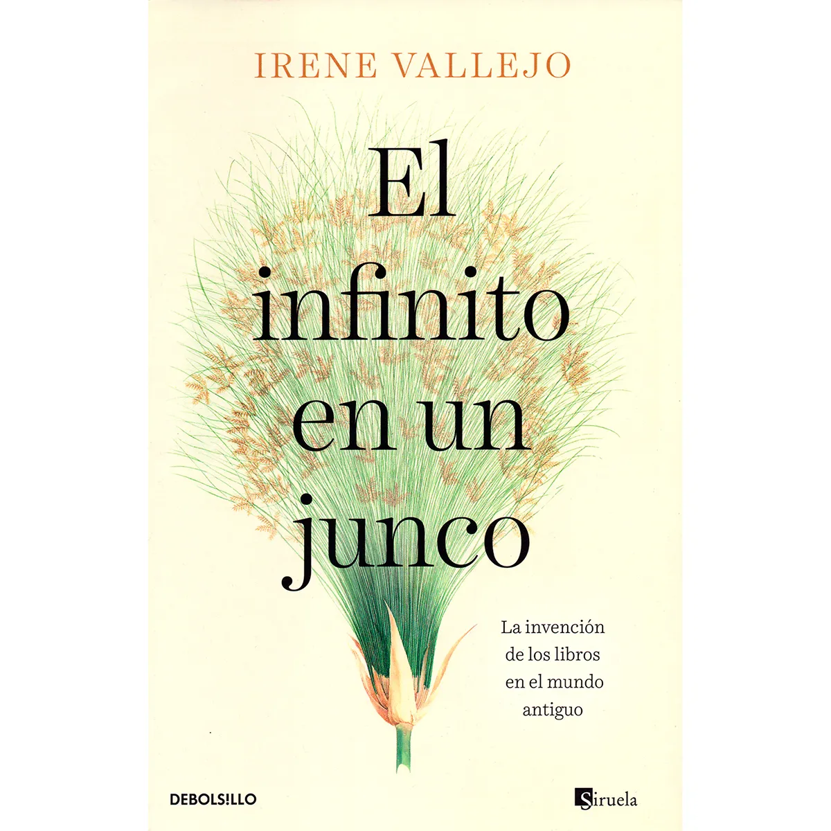 El Infinito En Un Junco. Irene Vallejo