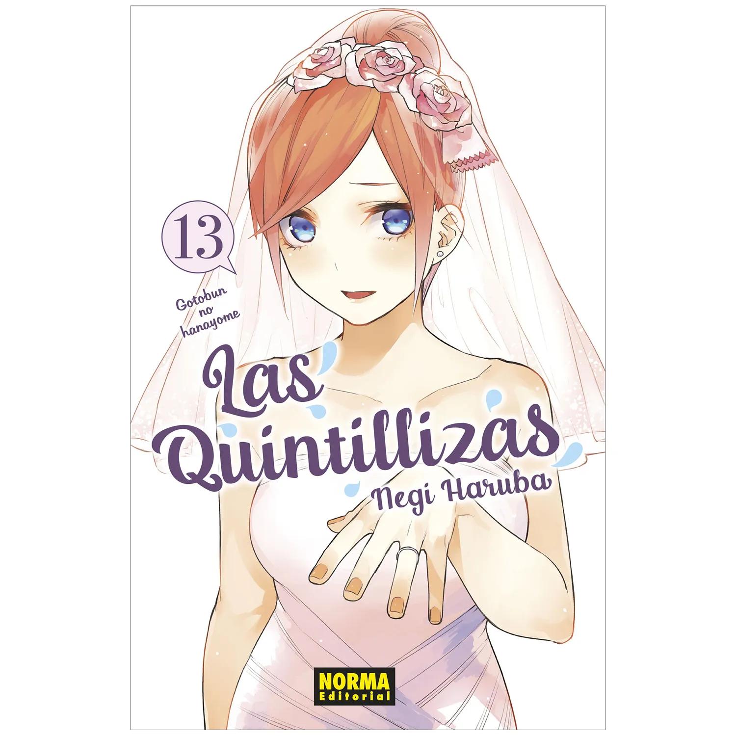 Las Quintillizas No. 13