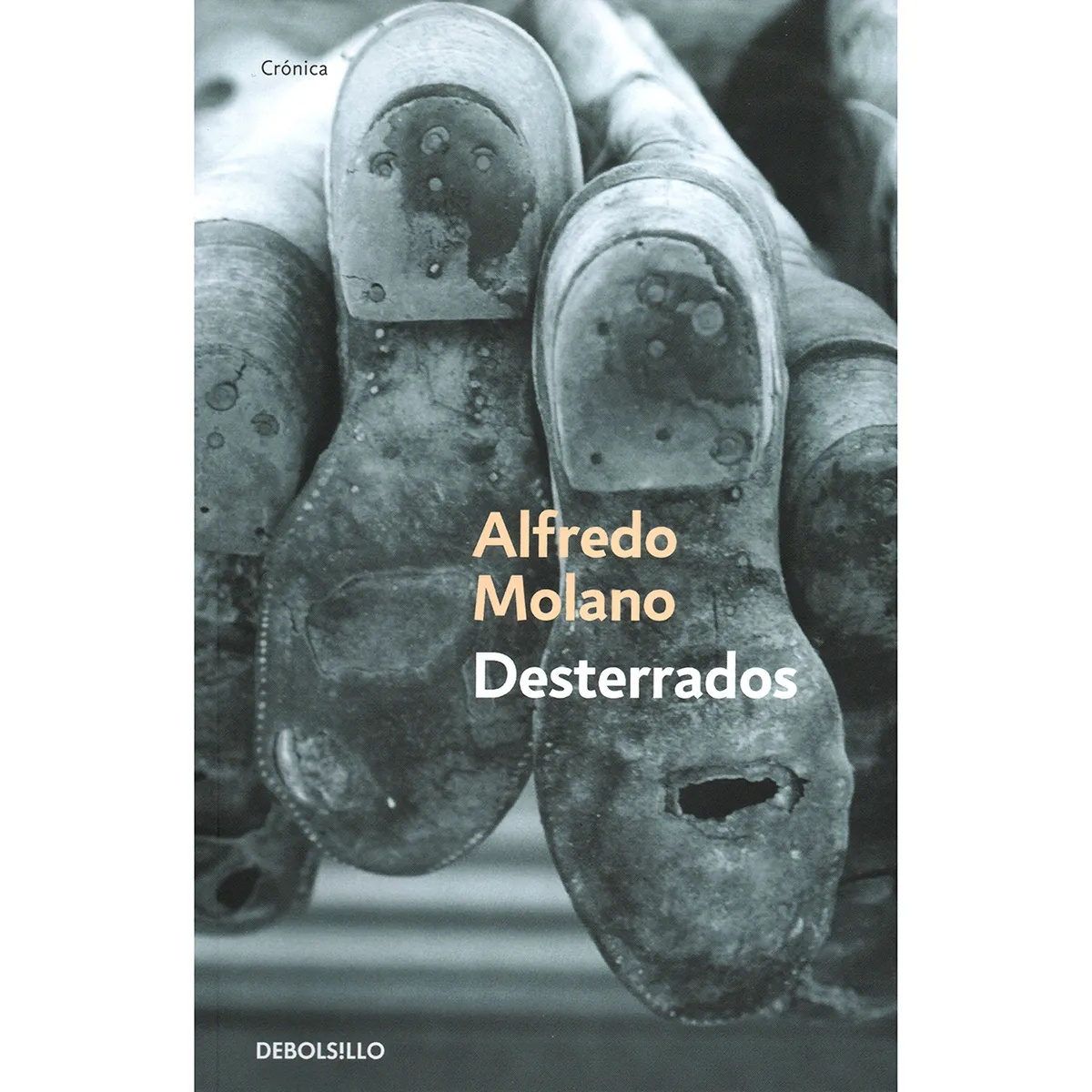 Desterrados. Alfredo Molano