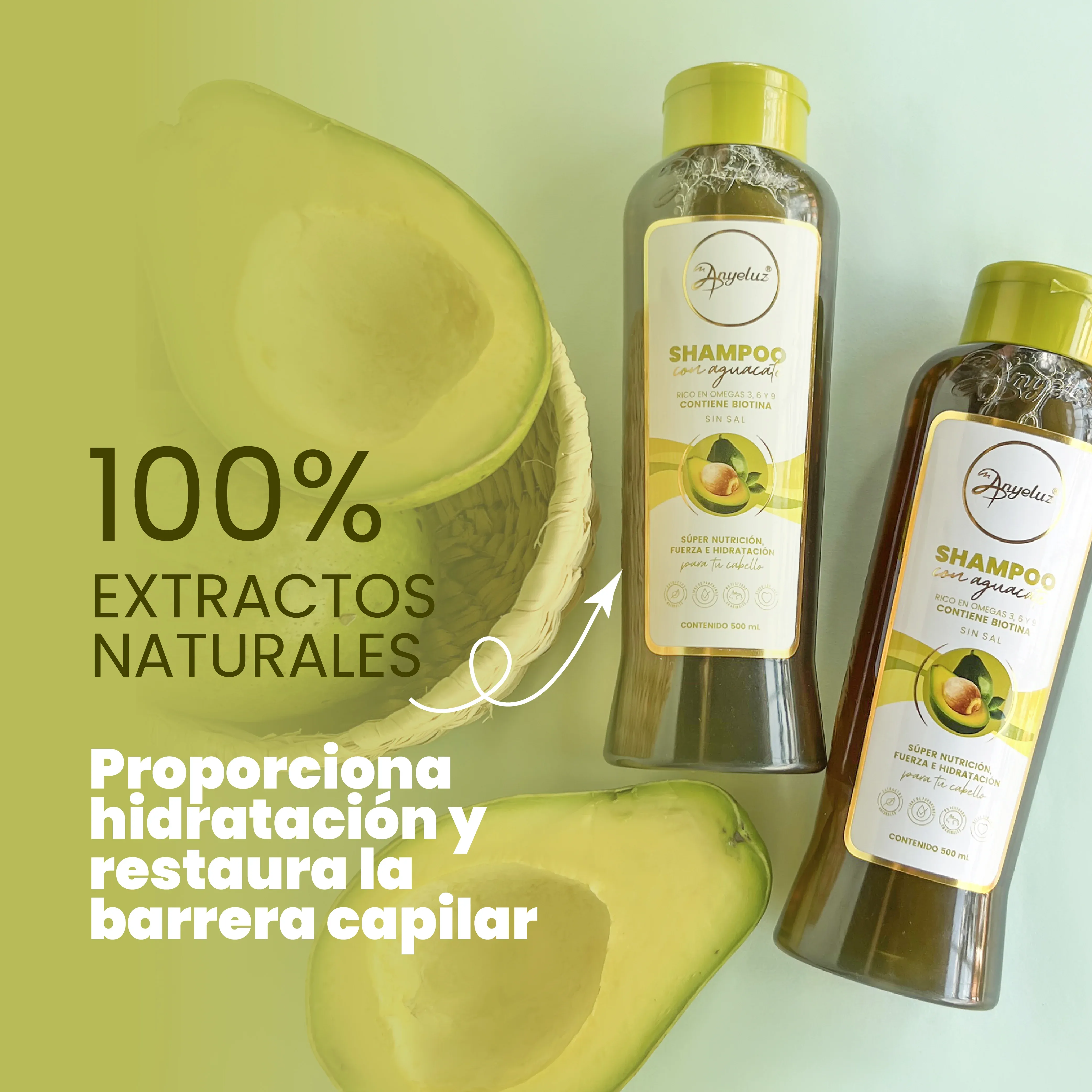 Shampoo Con Aguacate Anyeluz X500 Ml