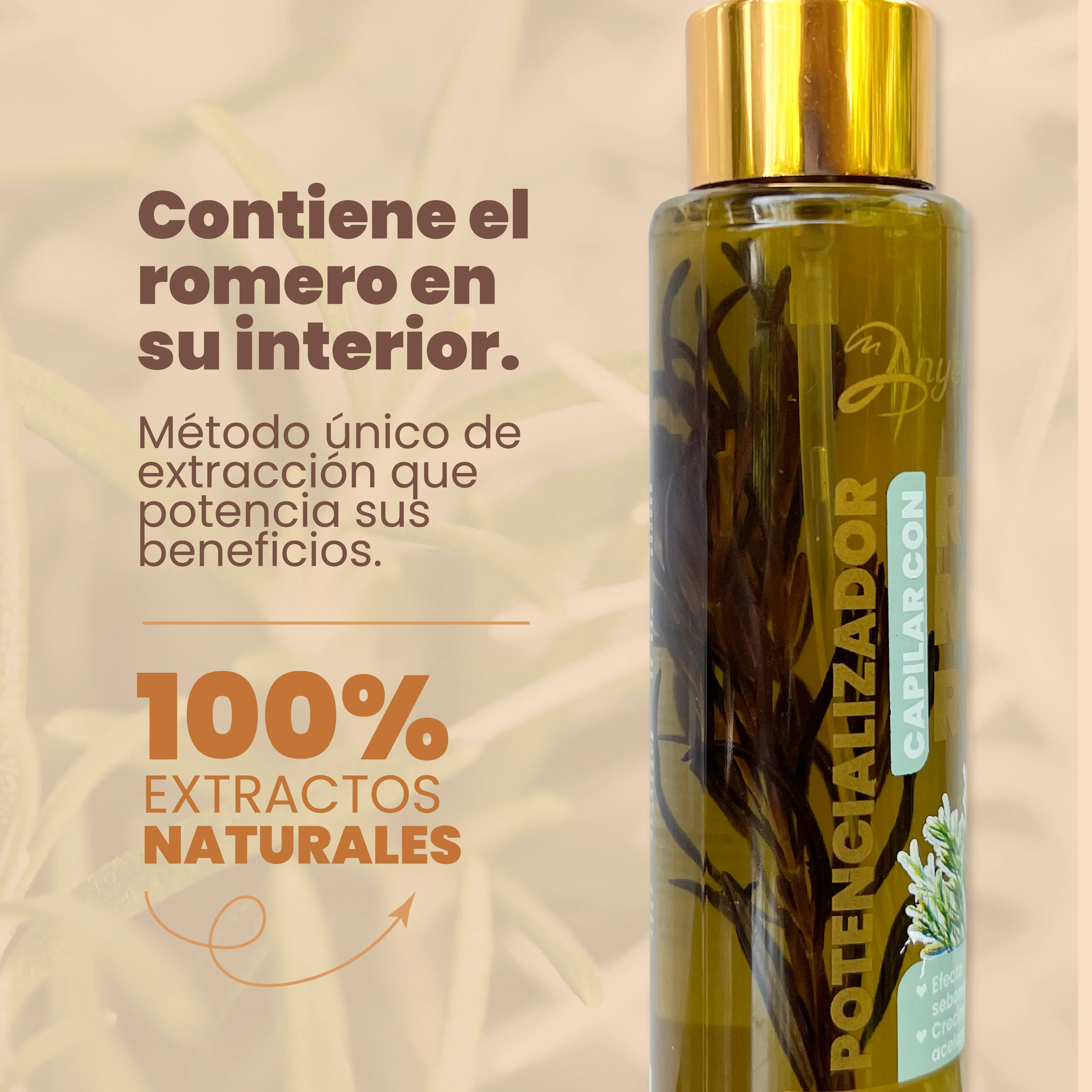 Potencializador Romero Anyeluz X110 Ml