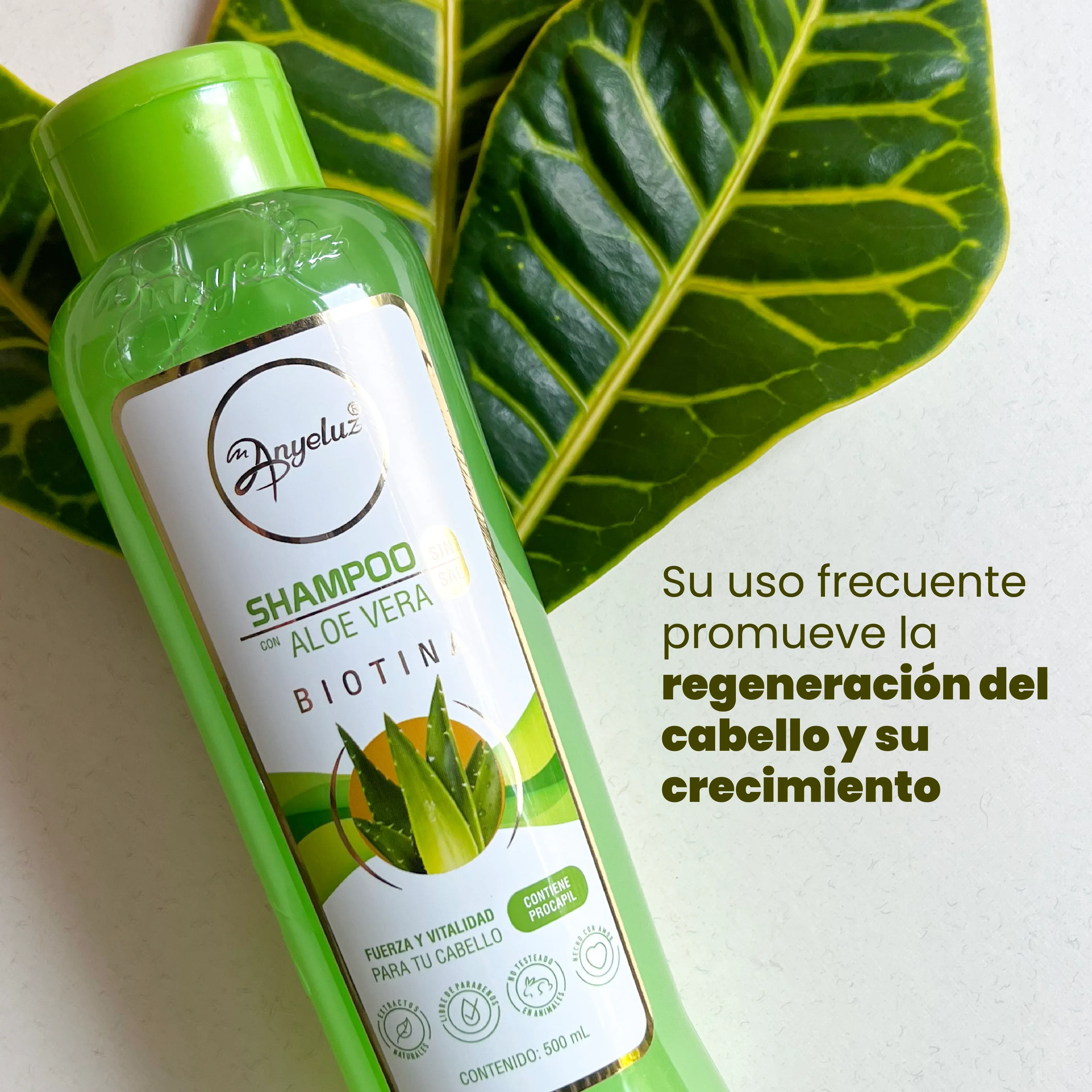 Shampoo Aloe Vera Anyeluz X500 Ml