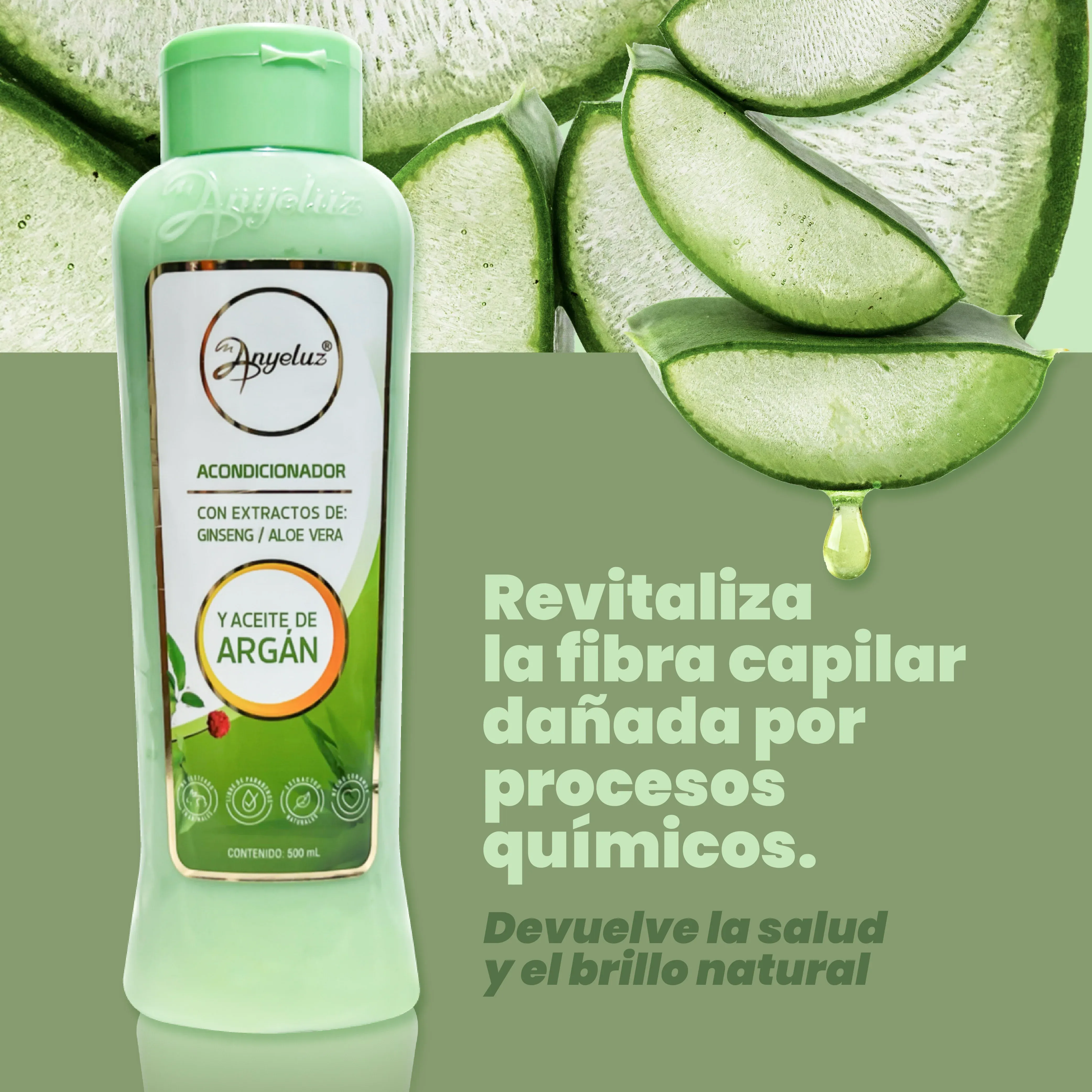 Acondicionador De Argán Y Aloe Vera Anyeluz X500 Ml