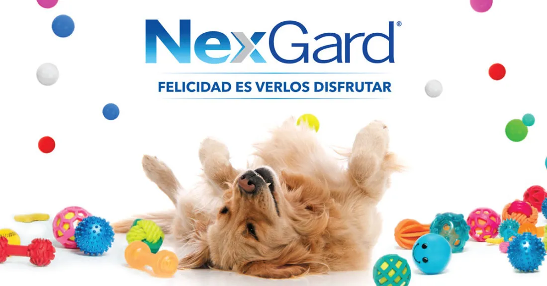 Antipulgas Nexgard Para Perros 2,-4kg