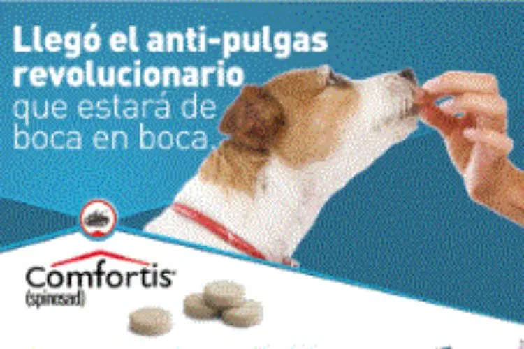 Comfortis Antipulgas para Perros De 27.3Kg  A 54.5 Kg 