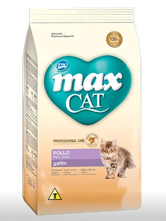 Max Cat Gato Bebe