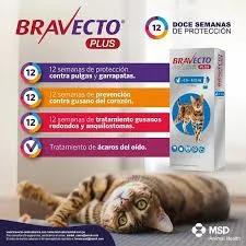 Bravecto Antiparasitario Para Gatos de 2.8 a 6.2 Kg Pipeta 250 mg