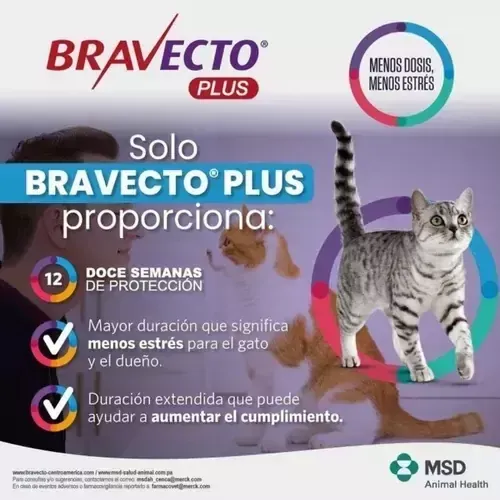 Bravecto Antiparasitario Para Gatos de 2.8 a 6.2 Kg Pipeta 250 mg