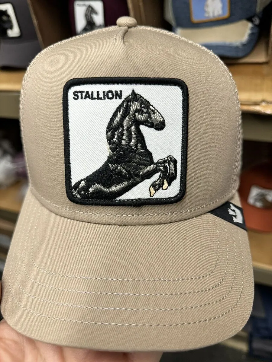 Gorra Goorin Bros Stallion 