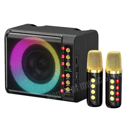 Parlante 20W Jaltech Inalámbrico Karaoke X2 Mics – T-203