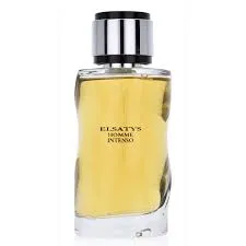 Perfume Reyane Tradition Elsatys Gentle Homme Intenso Eau De Parfum Men 100 Ml Original