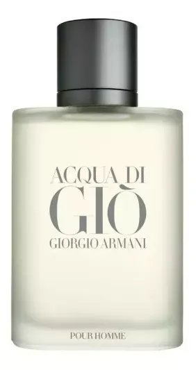 Perfume Giorgio Armani Acqua Di Gio Men Eau de Toilette 100ml Original 