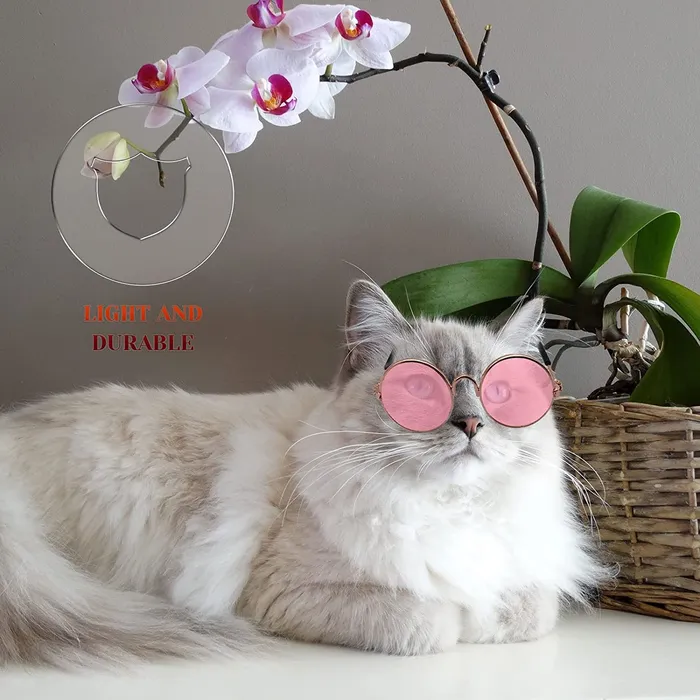 Gafas De Sol Para Gatos Y Perros Pequeños Fashion Disfraz Rosado