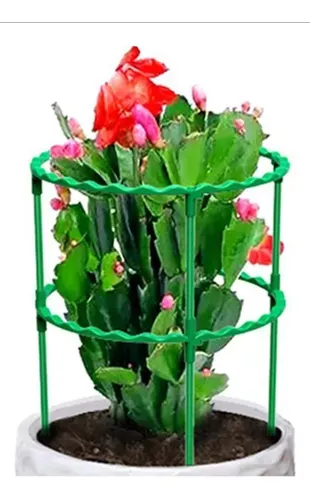 Soporte Plantas Enredadoras Soporte Para Materas Trepadoras