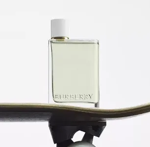 Burberry Her AAA PREMIUM "DAMA"