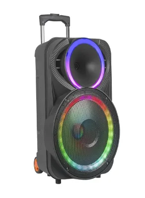 Parlante Recargable 12", Karaoke, Usb, Bt, Fm, Tf, Tws Ref: KOLAV-F1220