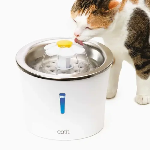 La mejor fuente de agua para gatos - NAcloset