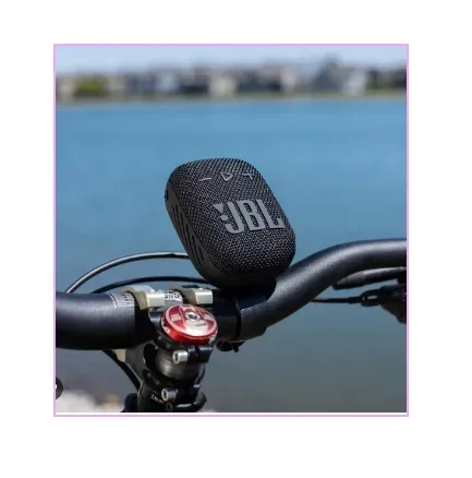  Parlante JBL Wind3s 1.1 Negro : Con Soporte Para Moto Y Bicicleta