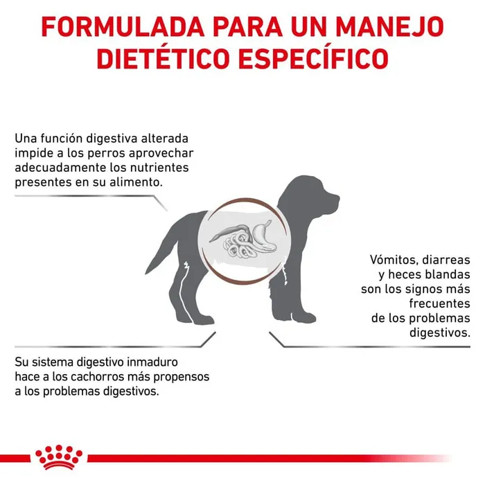 Comida Para Perros Royal Canin Gastro Intestinal Puppy 2.5 Kg