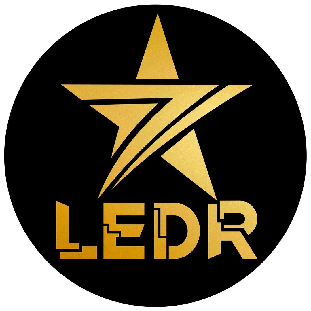LEDR Store