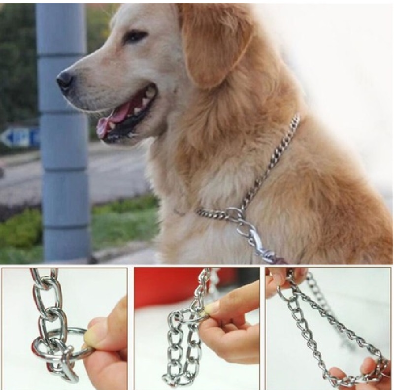collar-metalico-para-mascotas-medida-50cm