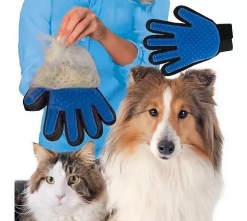 Kit Quitapelos para Mascotas de 2 Piezas. Cepillo de Limpieza para Ropa,  Sofas. y Peine Quita pelos para Perros y Gatos de tamaño Mediano/Grande. :  : Productos para mascotas