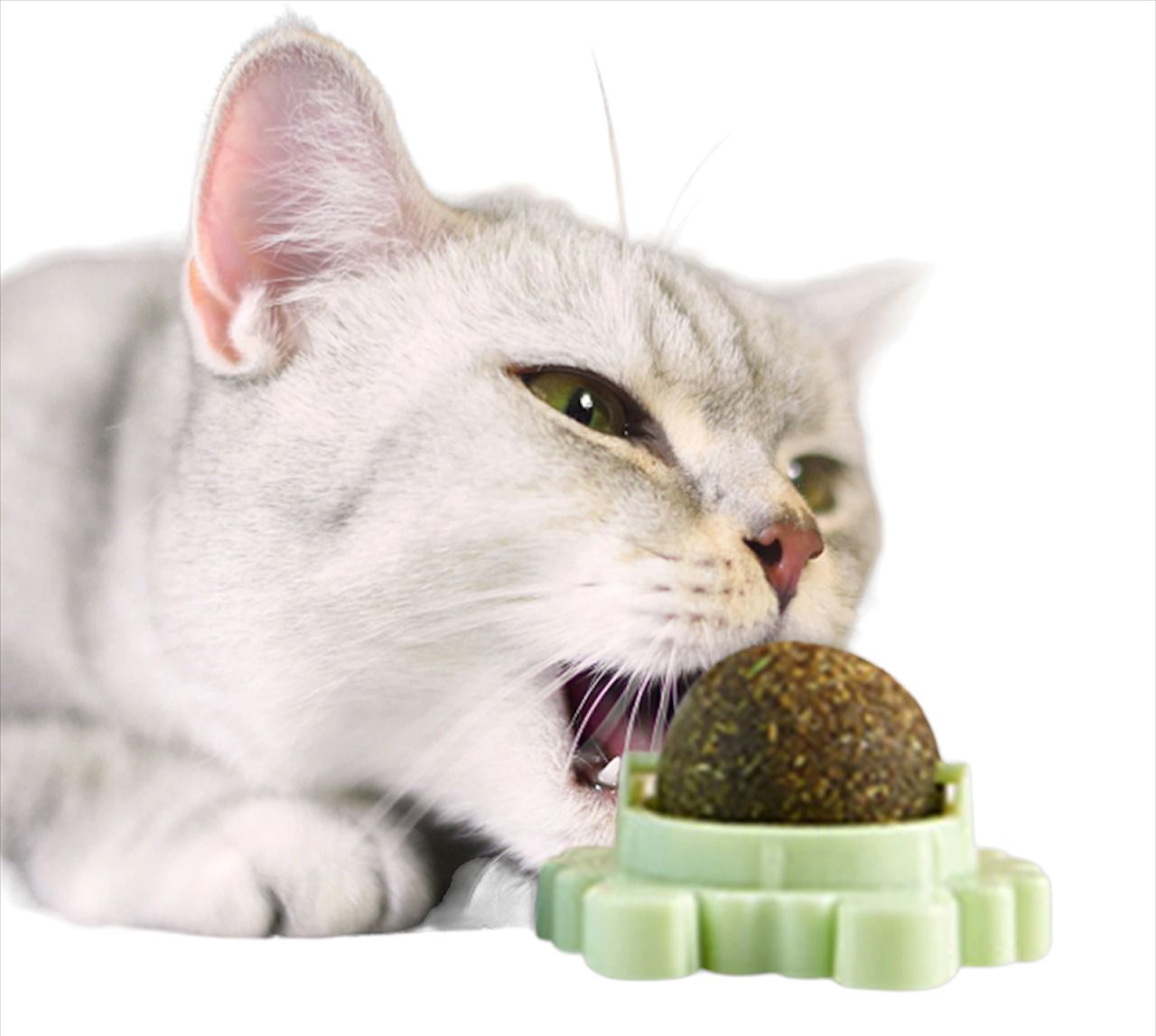 juguete-bola-de-hierba-catnit-giratoria-para-gatos