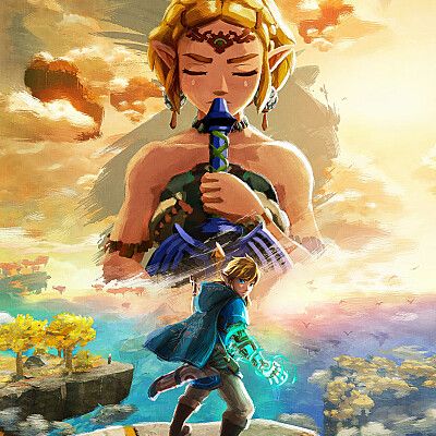 The Legend of Zelda: Breath of the Wild Standard Edition Nintendo Switch +  The Legend of Zelda: Skyward Sword HD Standard Edition Switch :  : Videojuegos